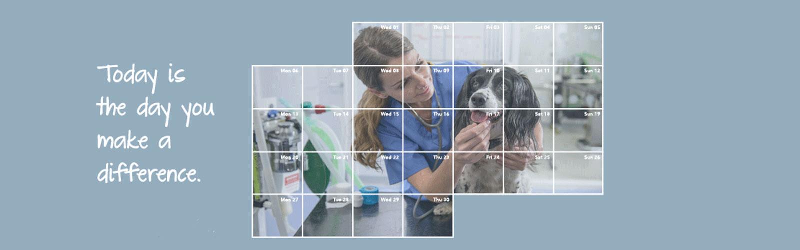 Primary hypothyroidism Primary and secondary hypothyroidism